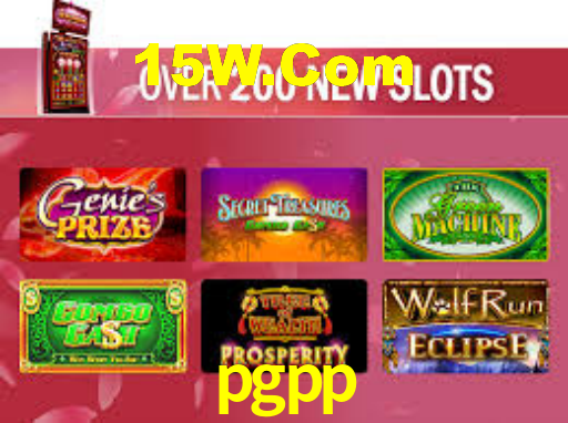 Premium Interface pgpp