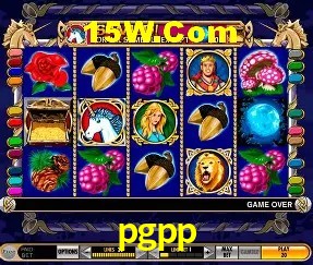 Flash Promotion pgpp